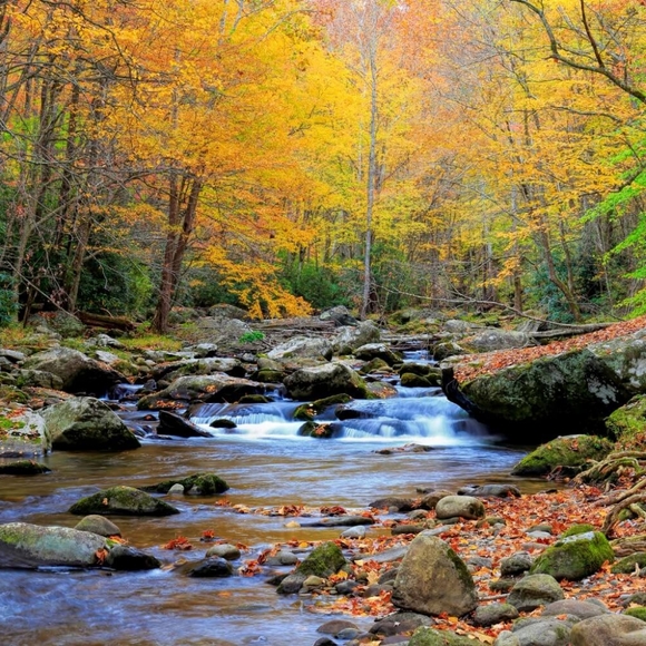 Hi! I'm J.C. - Picture 1 of 1